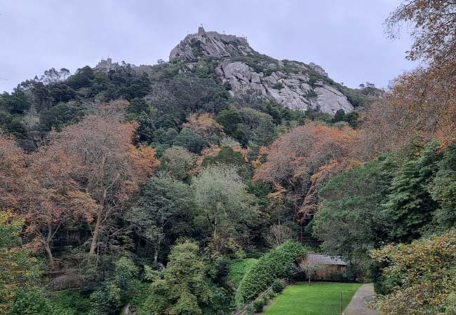The gardens of the Palacio Biester