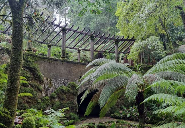 Parque de Pena