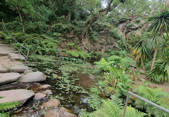 Cascata de Beckford  Palacio de Monserrate