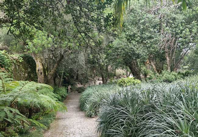 Floresta Nativa Palacio de Monserrate