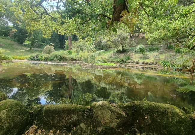 Palacio de Monserrate lakes