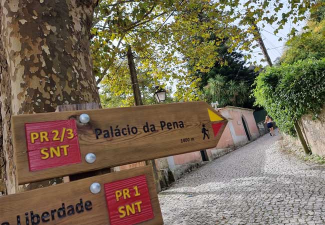 Palácio Nacional da Pena footpath