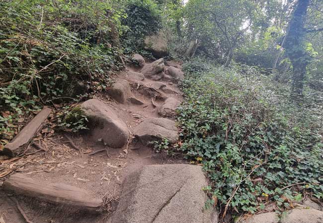 Il sentiero che conduce dal Castelo dos Mouros